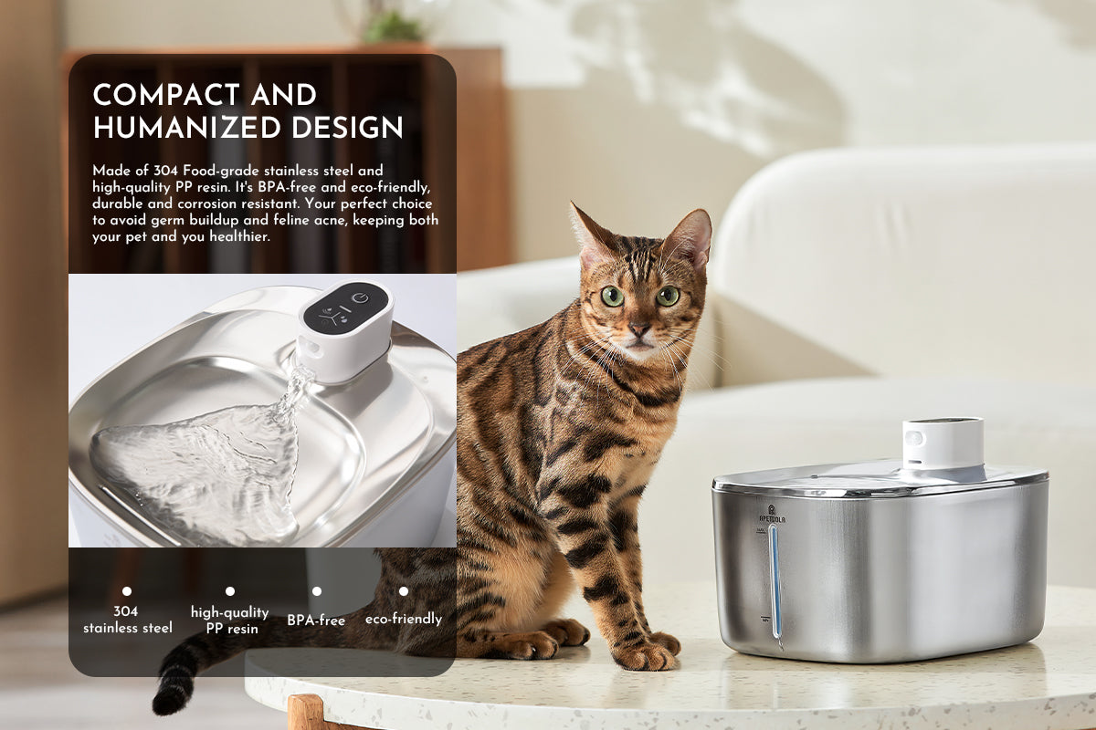 Stainless Steel Automatic Cat Water Fountain With Sensor