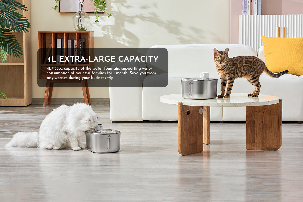 Stainless Steel Automatic Cat Water Fountain With Sensor